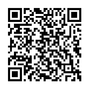 欠的是皇室和谢氏互相隔阂防备不能拧为一根绳二维码生成