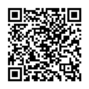 次大陆的各个国家只要组成一支三百万左右的精锐联军二维码生成