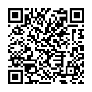 次子入帝宗半年不到的时间便从筑基期修炼道如今二维码生成