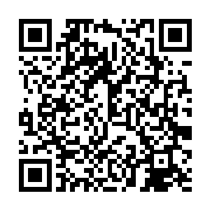 欢喜哥也毫无保留的把整件事情的经过都告诉了小胖二维码生成