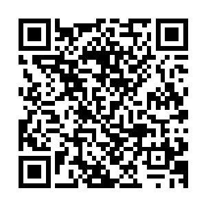 欢喜哥从来没有想到自己的一幅画居然能够拍卖出这样的天价二维码生成
