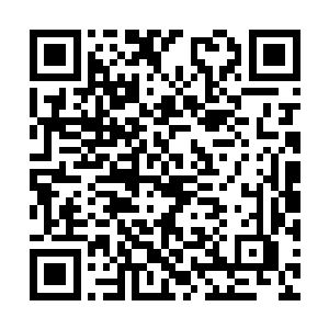 欢喜哥居然摘下了七朵刚长出来没有多久的花蓓蕾二维码生成