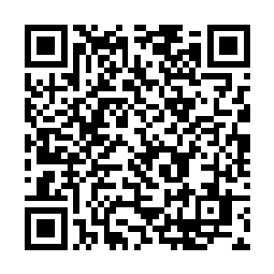 欢喜哥继续把全部的功劳归功到了菲克斯医生的身上二维码生成