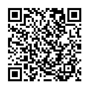 欢喜哥自己都无法相信居然如此顺利的离开了危险之地二维码生成
