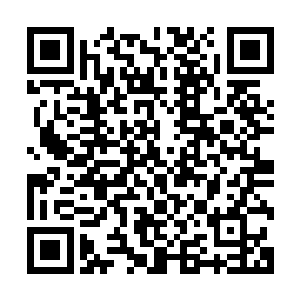 欢腾到不少人热泪盈眶的开始登陆网站希望能找回曾经的账号二维码生成