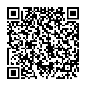 欢迎陆海集团进入双峰县政府启动的这个大规模基础设施建设规划中来二维码生成