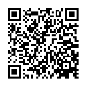 欣喜无比却又疑窦重重的定定的看着流墨墨的影像二维码生成