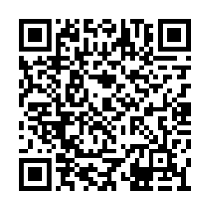 欣姐不想在会馆的事情上继续跟张小凡说下去了二维码生成
