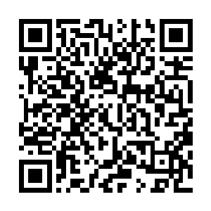 欣姐并没有提出给张小凡请私人医生或者是送张小凡去医院二维码生成