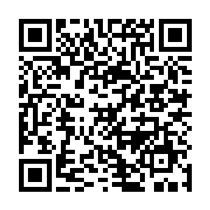 欧家少年一边吃着一边将美味的食物推到欧家老者面前二维码生成