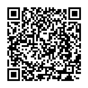 欧振国这才知道眼前这个年轻人竟然已经是丰州地委书记夏力行的秘书二维码生成