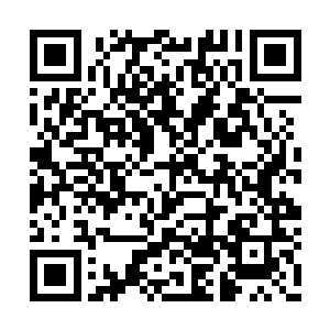 欧洲三大电影节对形形色色的演员都会加以肯定二维码生成