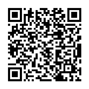 欧洲作战普遍采用军团列队放排枪模式那个指挥军士一样二维码生成