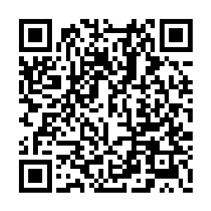 欧洲和中国发来的消息称……伤亡已是数以万计二维码生成