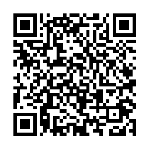 欧洲黑暗议会对新大陆的兽人家族一直在暗中压制中二维码生成