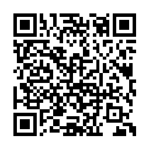 欧阳博延无论如何调查也查不出任何蛛丝马迹来二维码生成