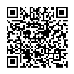 欧阳家族在施家和钱家的联手之下就是待宰的羔羊二维码生成