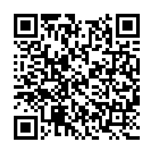 欧阳志远拎着一桶豆油和萧眉来到楼下的出口给钱二维码生成