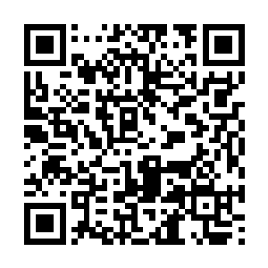 欧阳志远早就看到了郭振宏那张好像死人一般的脸二维码生成