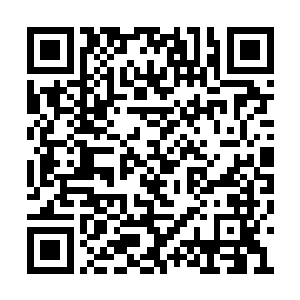 欧阳护卫那些人直接将欧阳天给硬生生的拉走了二维码生成