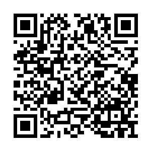 欧阳琛便干脆拿出电话簿一个接一个的打过去了二维码生成