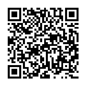 欧阳若兰着急的声音也是不断的在杨风几个的脑海当中响起二维码生成