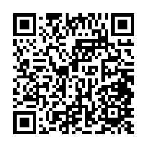 欧阳菁俏丽的脸蛋因为刚才堆雪人透出几分兴奋的红晕二维码生成