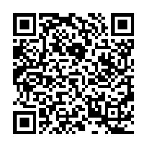 歌舞团今天的两个节目都赢得了尚书记和童书记的高度赞扬二维码生成