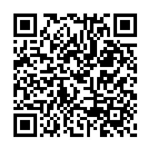 正一心一意安抚着那位年轻容貌出众红衣的小姐二维码生成