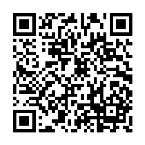 正与夺路而走之时那树洞中再次传出一声咆哮声二维码生成