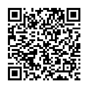 正与苏颜进行着心灵上交汇的杨开根本没想到会有人攻击自己二维码生成