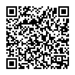 正传里老是有一个死来死去怎么都死不了的家伙挥舞着鞭毛跳出来搔首弄姿二维码生成