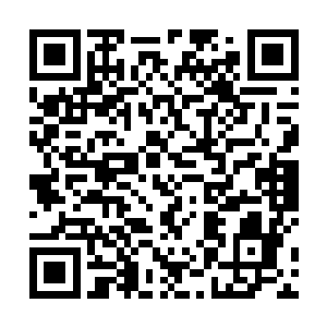 正依托骆驼抵抗着十几个战斗力极为强悍的敌人的进攻二维码生成