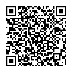 正停留在十里之外观看的各个部落的圣王强者就没有剑尘他们这般轻松了二维码生成