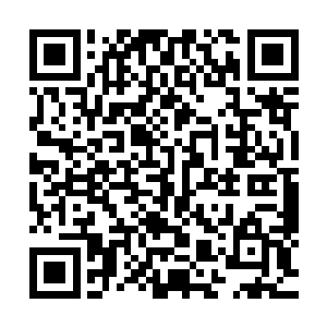 正准备发动救护车的沈笑薇扭头看了一眼站在车门旁的林若烟二维码生成