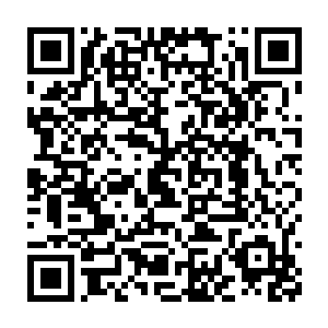 正前方是鹤发童颜的云鹤真人以及手持高览信物的北周皇室代表高腾二维码生成