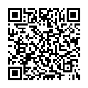 正变化为一只白色的大虫出现在剑尘的意识海中二维码生成