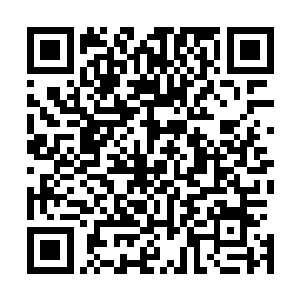 正变幻着地方隐藏在那些鬣狗群中和我在玩捉迷藏的游戏呢二维码生成