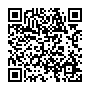 正和王荷花这个新晋帮佣阿姨有一搭没一搭说着闲话呢二维码生成