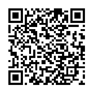 正和黄局长得意洋洋吹嘘着自己体育部功劳的周主任二维码生成