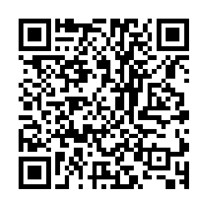 正嗖嗖四下不断把方才吞噬灭杀的黑鲨族妖修干瘪的尸体毁掉二维码生成