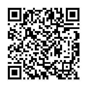 正因为太子和赵王曾经在江南对掐引起江南不稳二维码生成