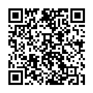正因为我踏上了一条布满毒液荆棘和黑色火焰的道路二维码生成
