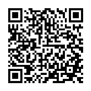 正因为有那些在一个岗位上干一辈子的人类的庞大基数的存在二维码生成