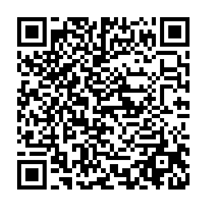 正因为莫昕岚不经意的救了一个渺小得不能再渺小的路人改变了天下大局二维码生成
