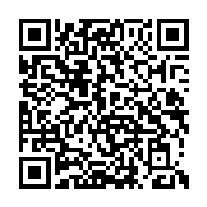 正因此唐劫现在也是抓紧一切机会提升血肉磨盘二维码生成