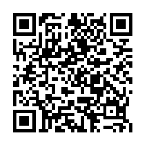正在上车的那个胖子一闪身便惊恐地关紧了车门二维码生成