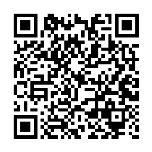 正在与易傲风聊天的易盈枫立刻欢喜的站起迎上二维码生成