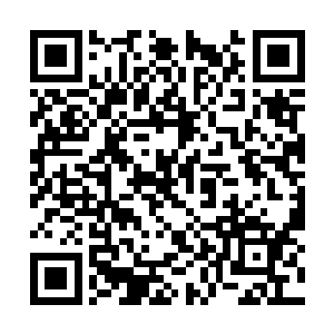 正在与段浩小队缠战的南宫家高手根本来不及反应二维码生成