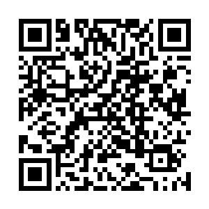 正在从空中往下掉的路广天等人立刻听出了传音的是许紫烟二维码生成
